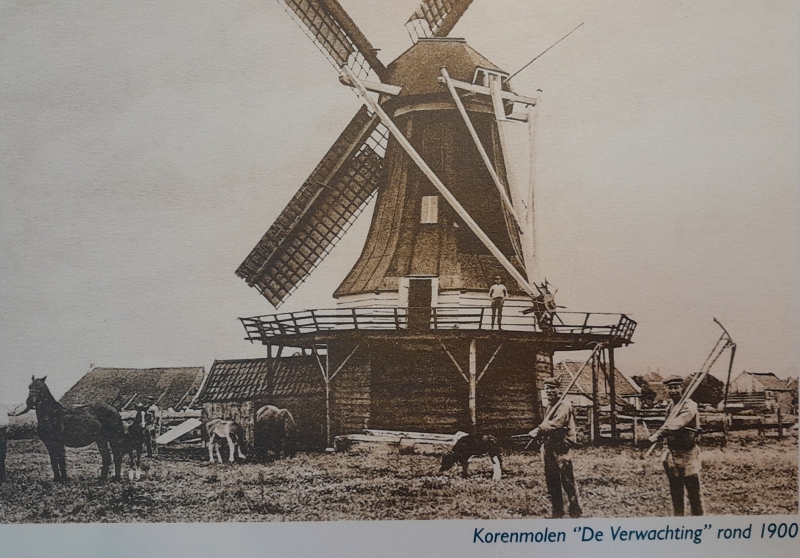 koren-en-mosterdmolen-de-verwachting-rond-1900 koren-en-mosterdmolen-de-verwachting-rond-1900