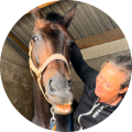 dressuur paard