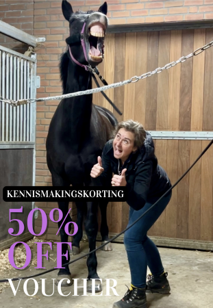 bodywork paardenmassage