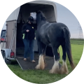 Referentie Trailer laden Shire