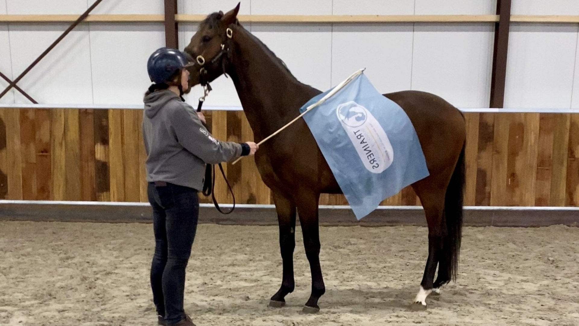 Schrik en obstakel training