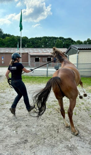 Schrik en obstakel clinics