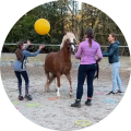 Stresshantering training pony
