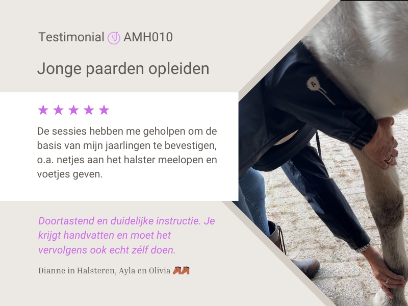 Testimonial Jonge Paarden Opleiden