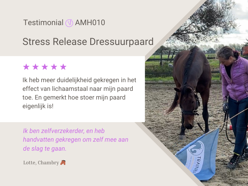 Testimonial Stress Release paard