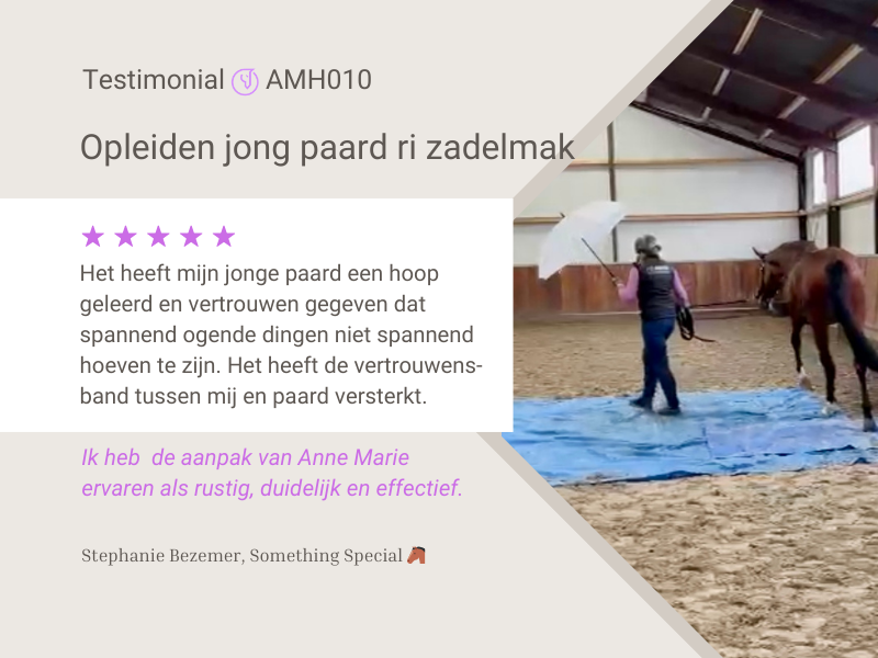 Testimonial opleiden van jong paard