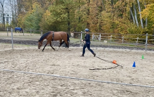 AMH Grondwerk Revalidatie Training