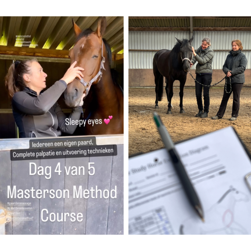 AMH Masterson Method Course