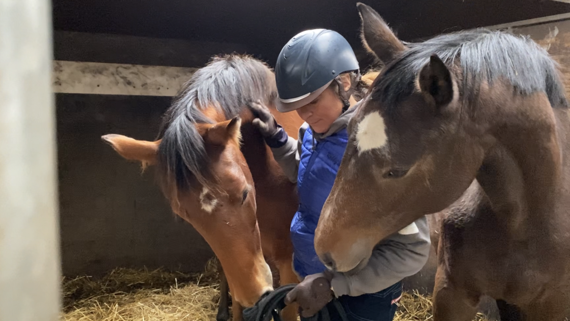 Anne Marie Hazenberg Instructeur Paard en Gedrag