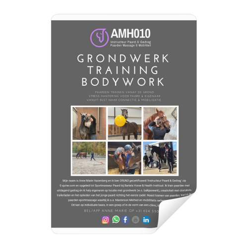Flyer Grondwerk Training Bodywork AMH