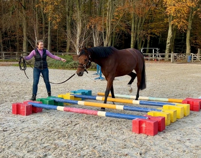 Revalidatietraining