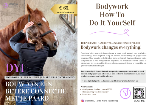 Les in bodywork en paarden massage