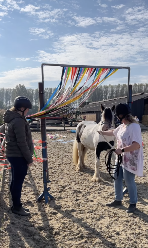 Schrik en obstakel - Paarden AMH