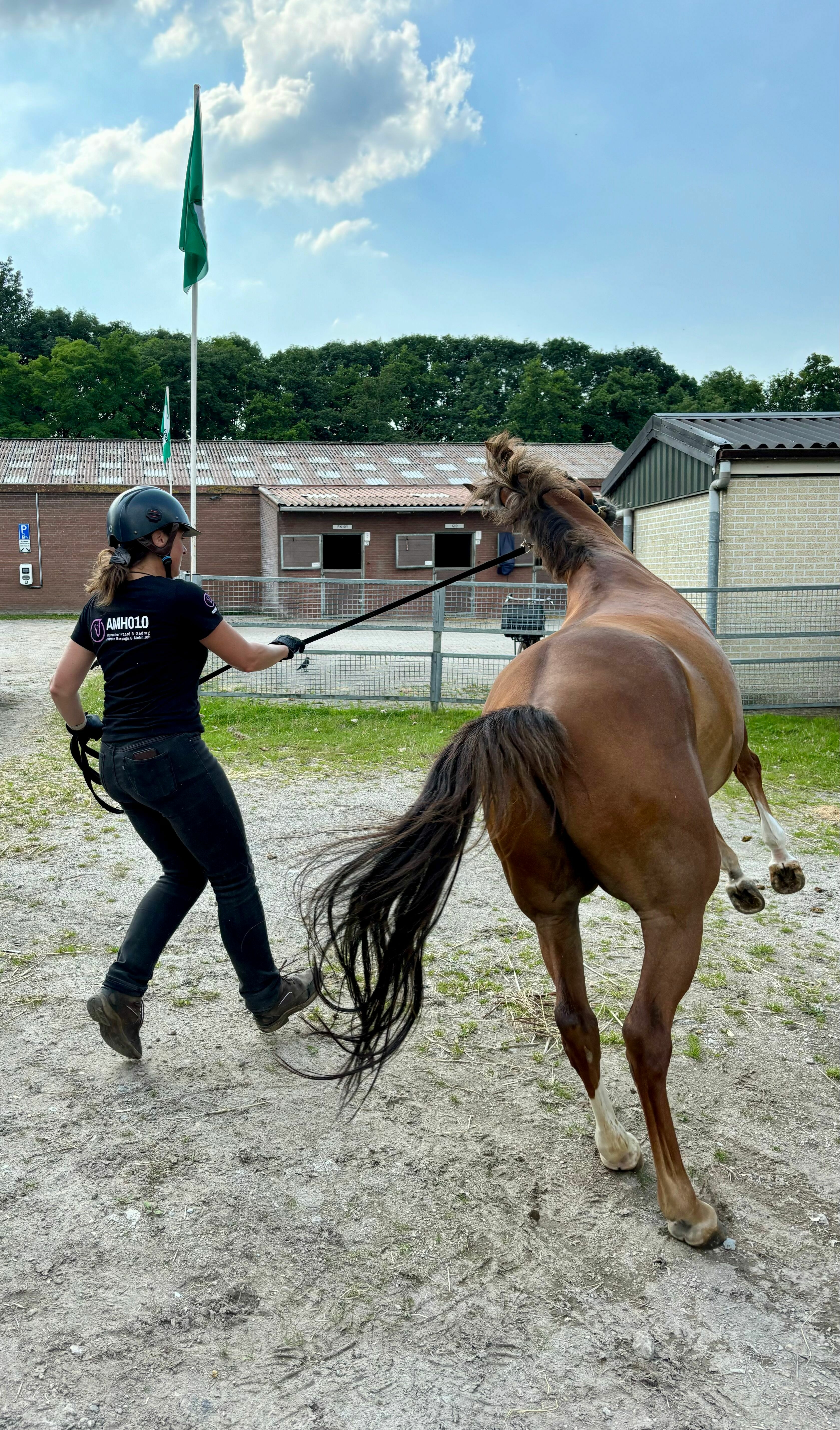 trailerladen training