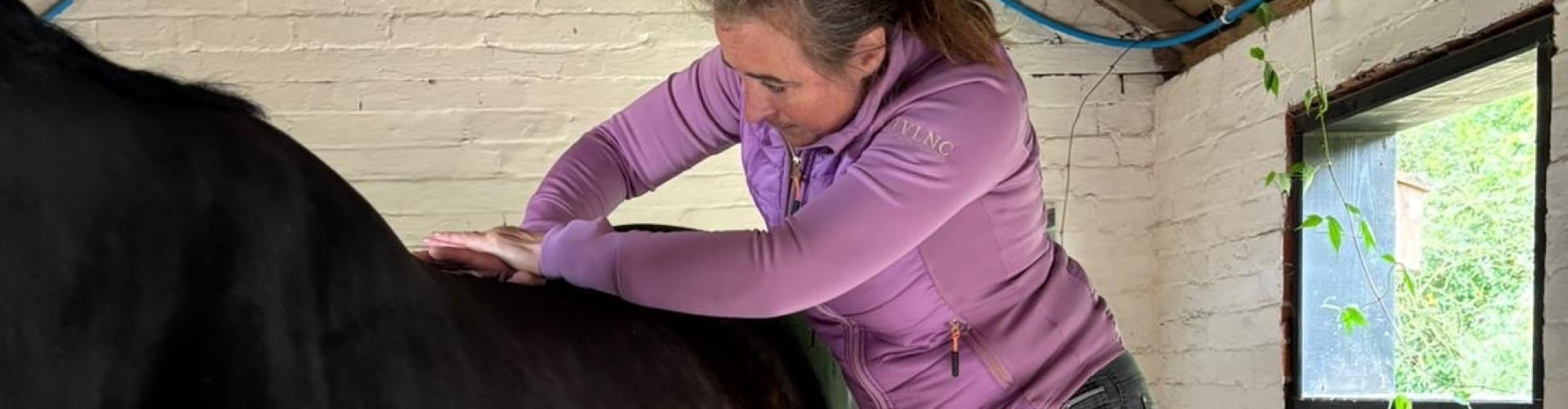 Annemarie Instructeur Paard en Gedrag