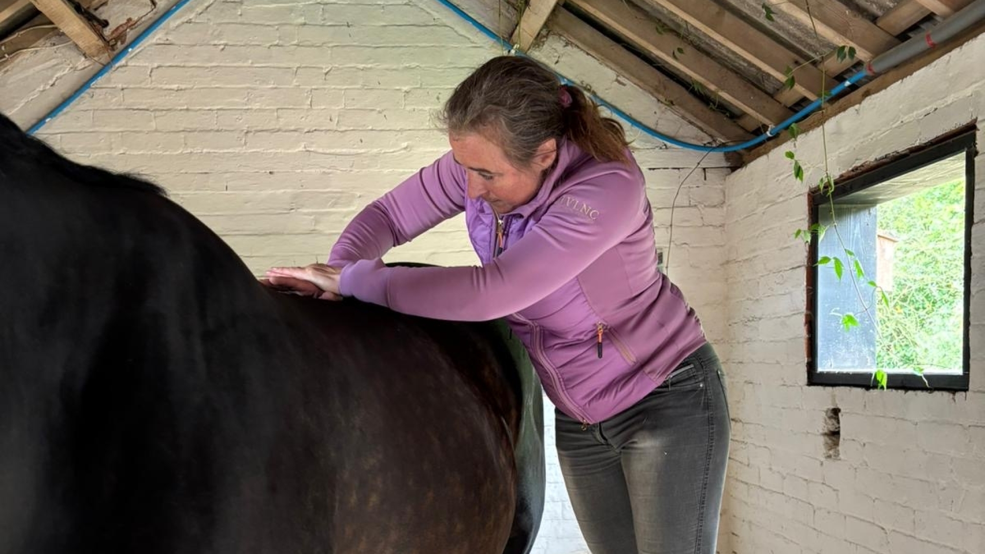 Annemarie Instructeur Paard en Gedrag