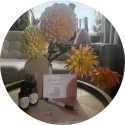 Amor Fati therapie en meer