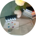 neuro emotionele integratie