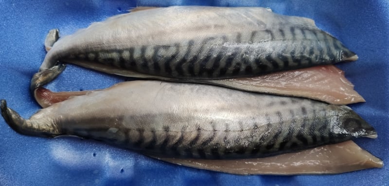 Makreel voor Indonesische Ikan Bali