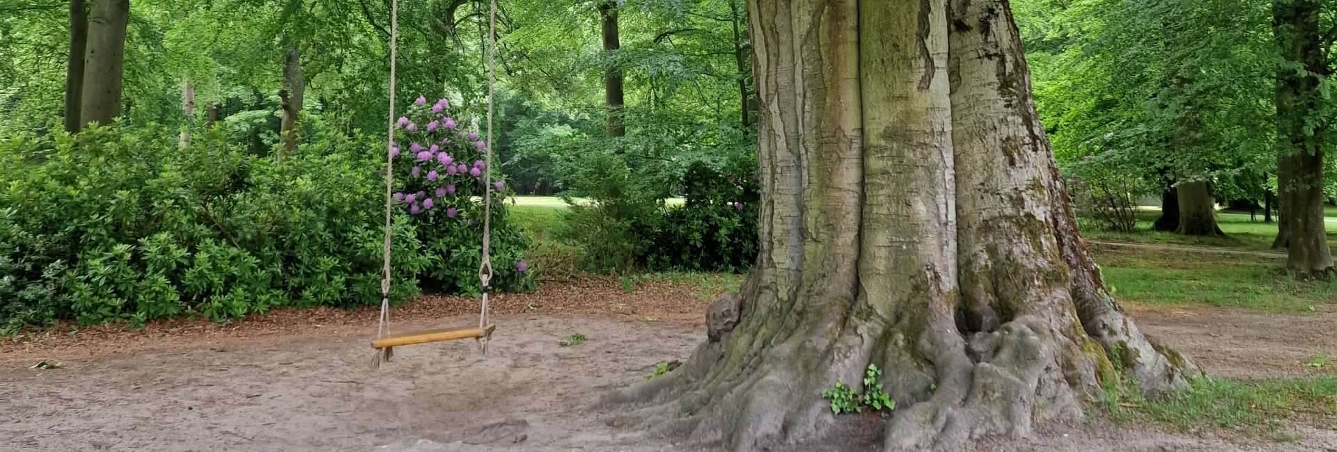 Even schommelen en ven tot jezelf komen Schommelen in de natuur