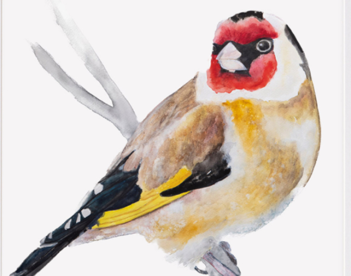 Putter in Aquarelverf gemaakt door Angela Peters
