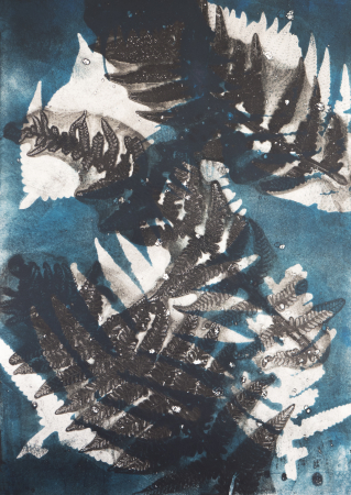 Monoprints Angela Peters