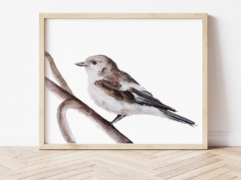vogel in aquarelverf Angela Peters
