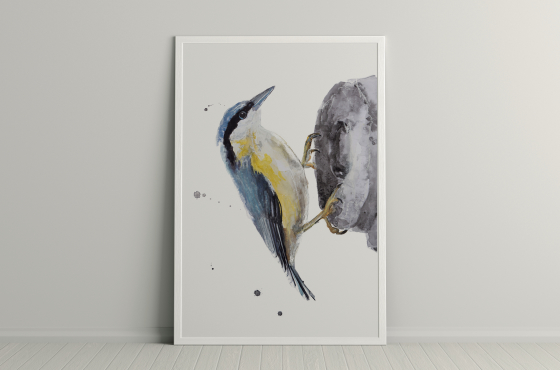 vogel aquarelverf Angela Peters