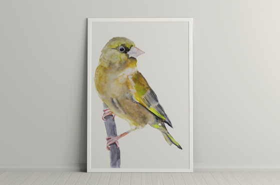 vogel aquarelverf Angela Peters