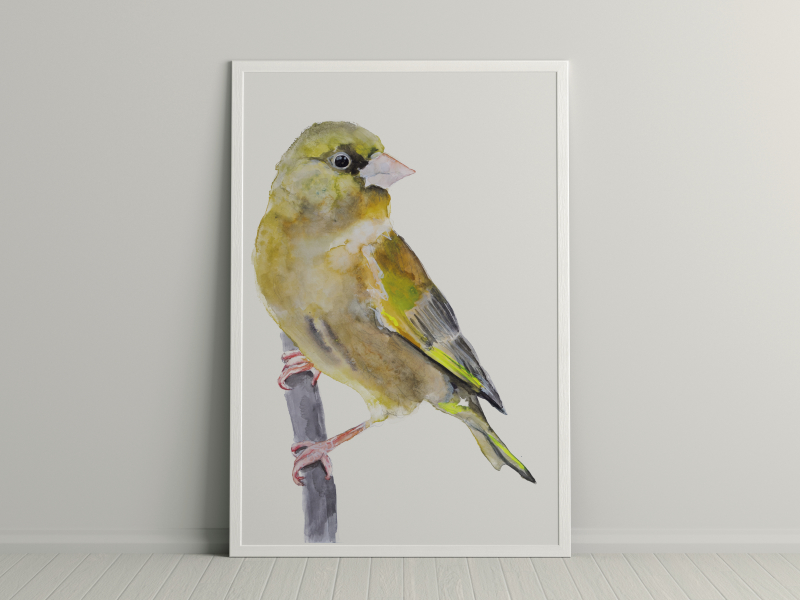 vogel in aquarelverf