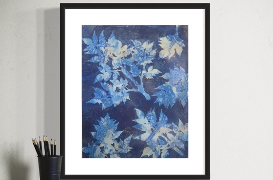 Monoprint plantafdrukken Serie – Natuur gevangen in kleur