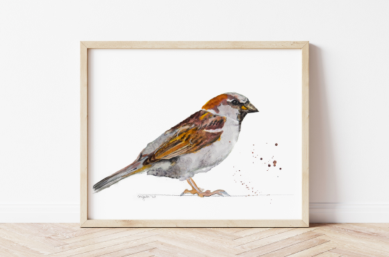 vogel aquarel Angela Peters