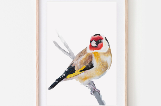 Putter in Aquarelverf gemaakt door Angela Peters
