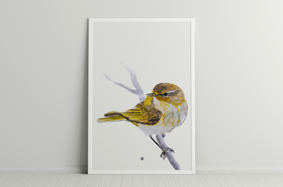 vogel aquarel Angela Peters