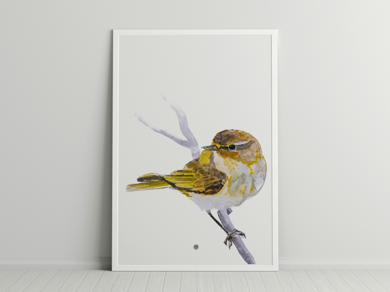 vogel in aquarelverf Angela Peters