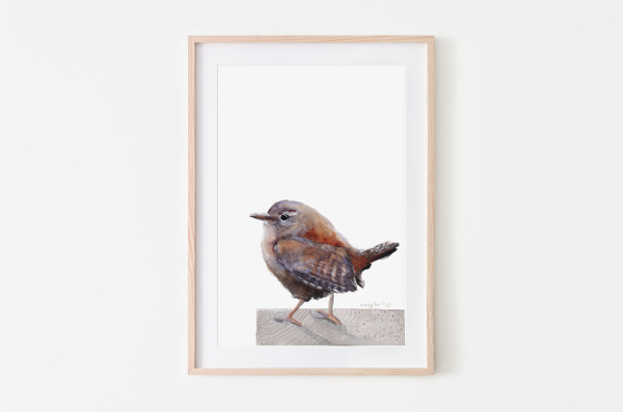 Winterkoninkje gemaakt in aquarelverf en inkt door Angela Peters