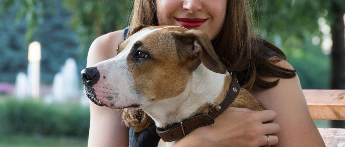 Hoe Bereid Je Je Hond Voor Op Alleen Thuis Zijn Aniek Wendt