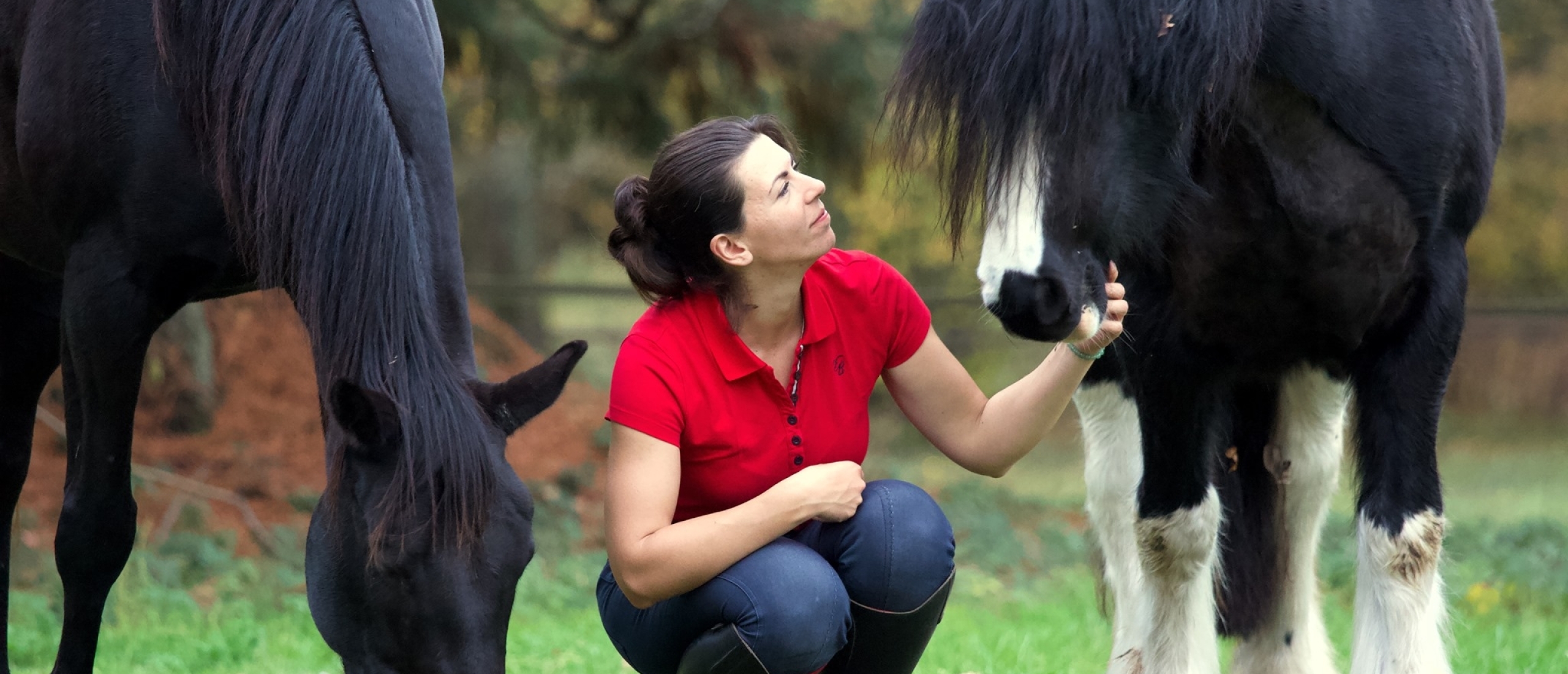 Mijn paard verliezen of de sprong in het diepe