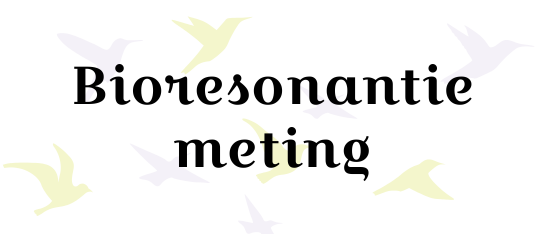 bioresonantiemeting-annekiekiers-nl bioresonantiemeting-annekiekiers-nl