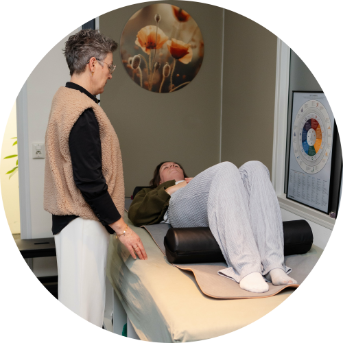 cuppen-schumann-resonantie-systeem-levhealthy