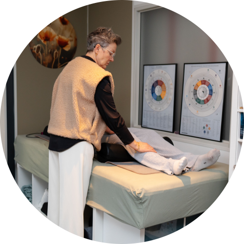 energetisch-nei-consult-levhealthy-annekie-kiers-4