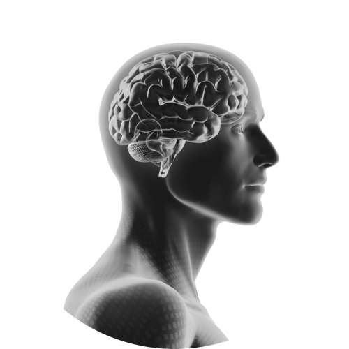 Germaanse Geneeskunde - LEV&Healthy