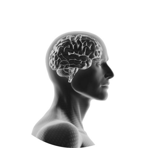 Germaanse Geneeskunde - LEV&Healthy