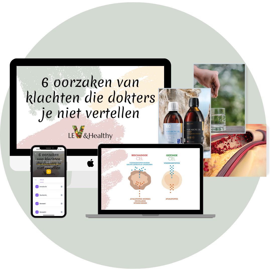 mini-cursus-LEV&Healthy