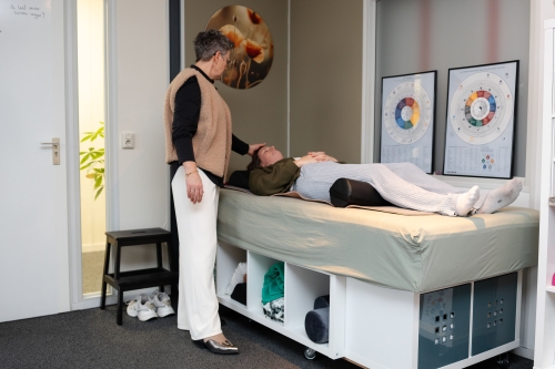 schumann-resonantie-systeem-levhealthy