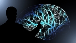 Tem je Mind