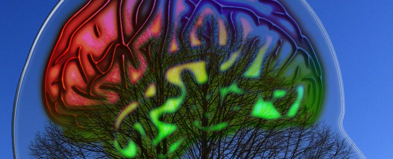 Emotionele intelligentie is nodig voor een gelukkig leven
