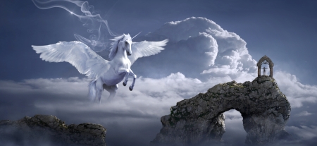 Let the magic happen