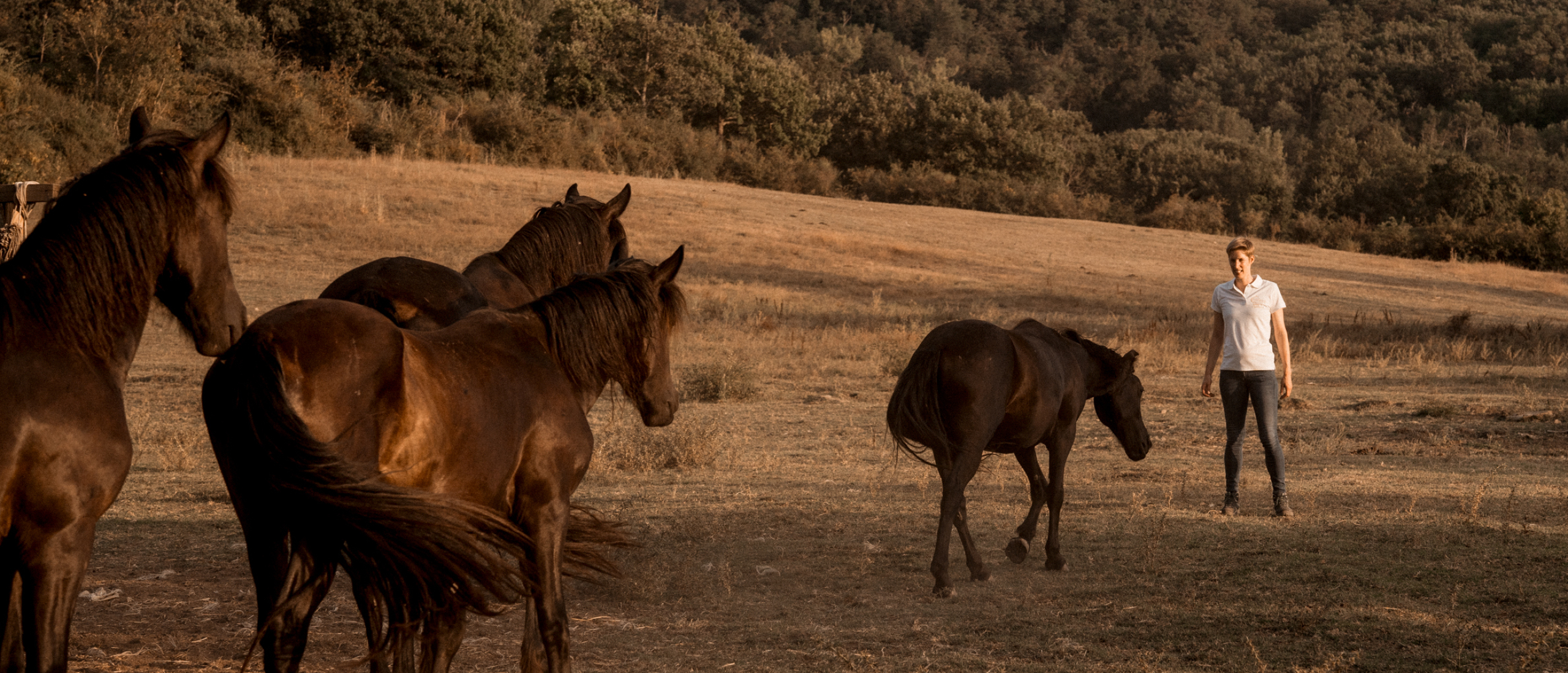 Sophie Charlotte | Hoe paarden kunnen helpen bij het openen van je hart