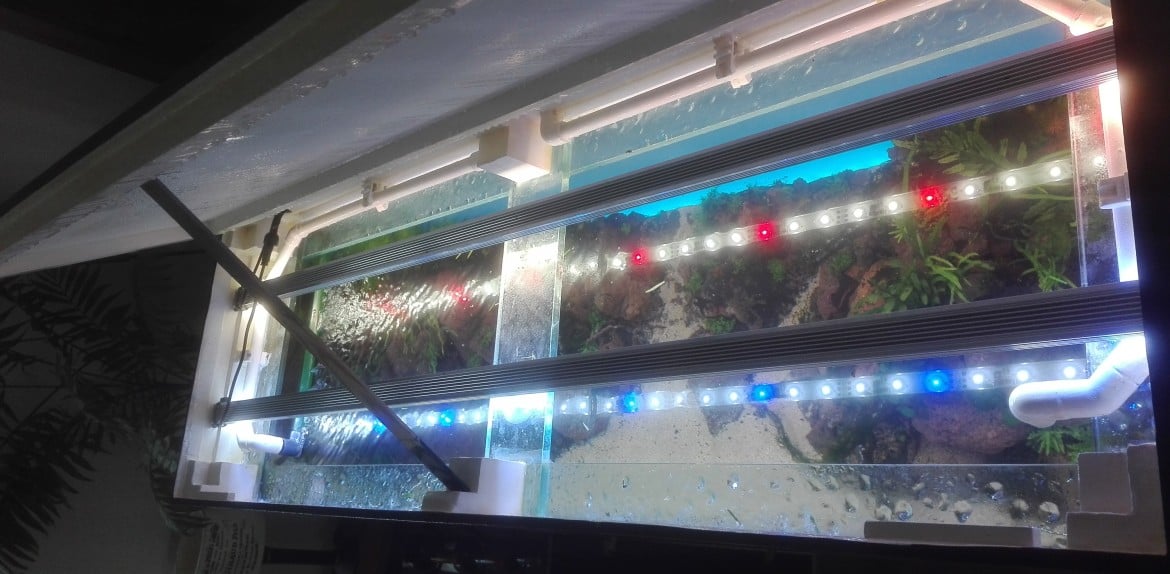 licht aquarium LED